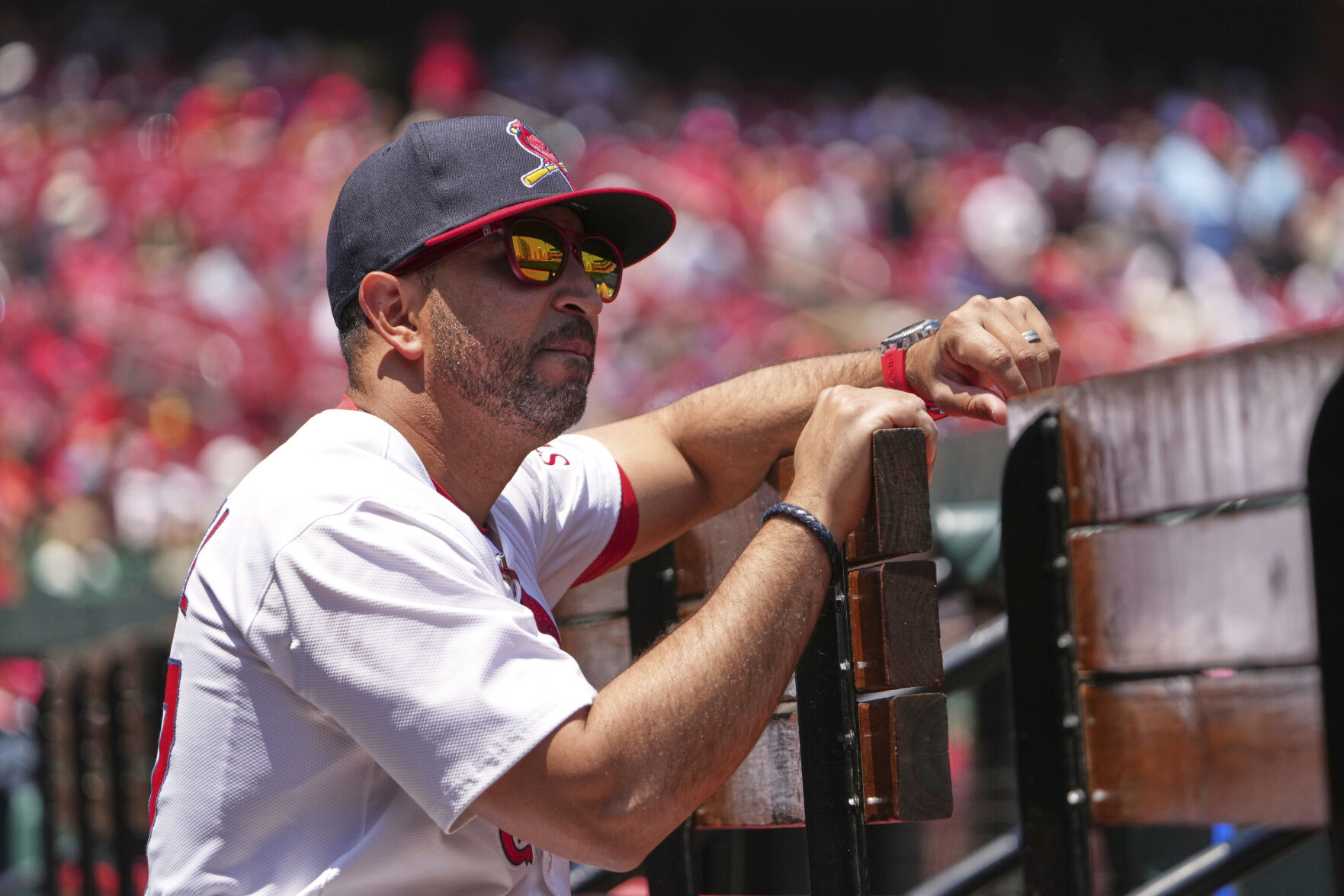 Dodgers Cardinals Baseball
